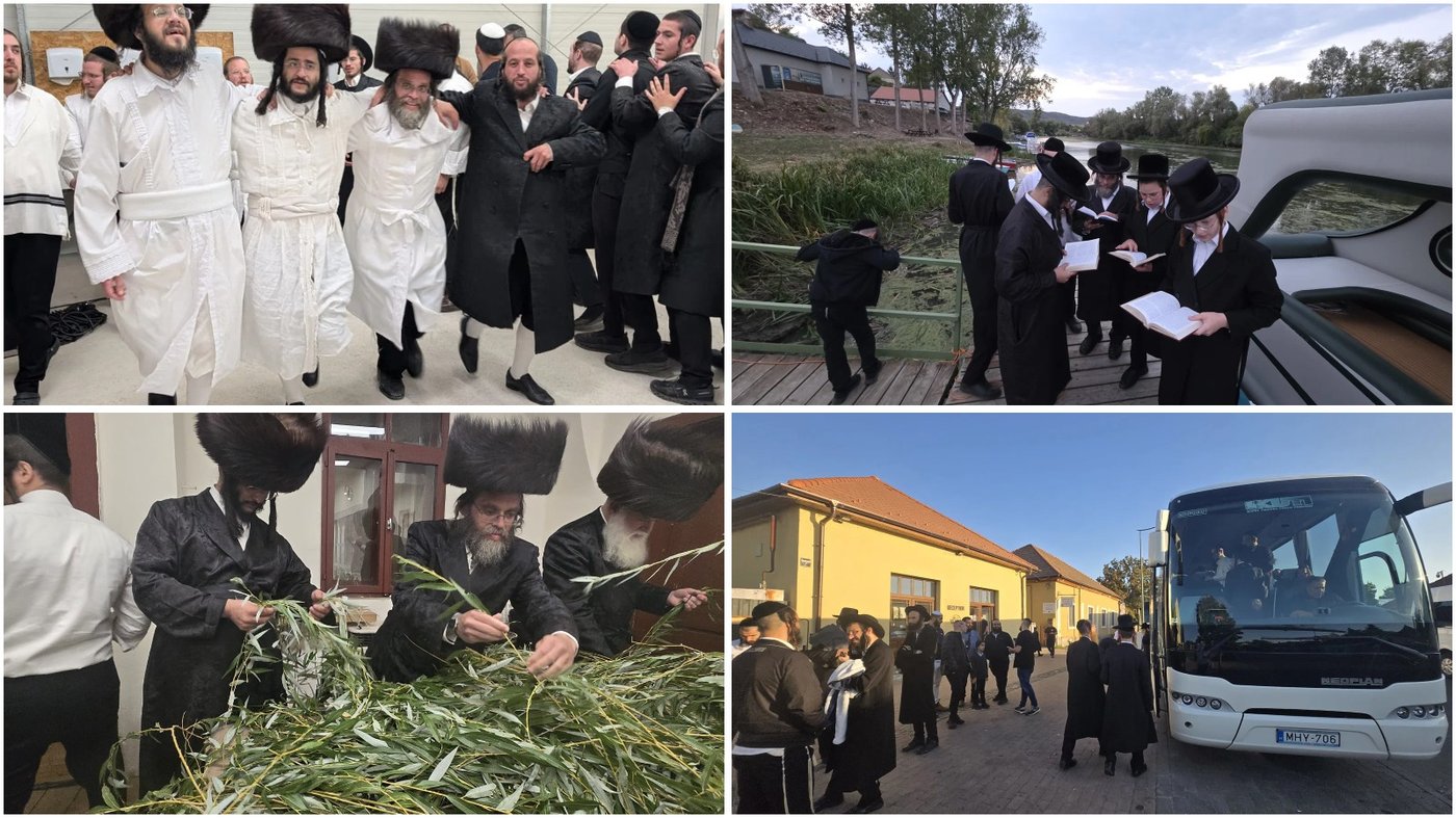 ירח האיתנים בקרעסטיר | צילום: באדיבות המצלם