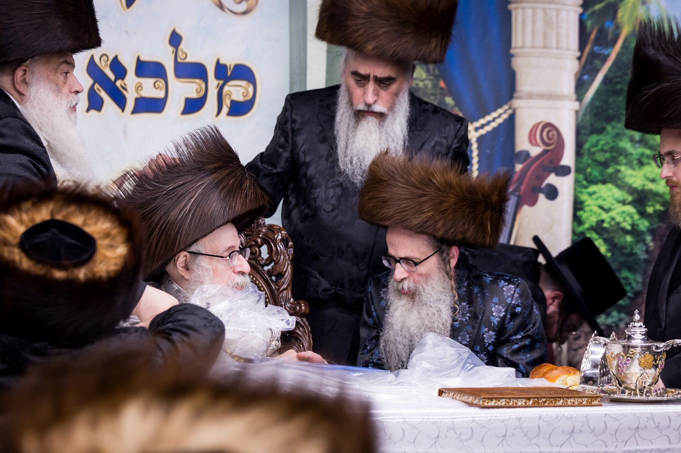 ירח האיתנים בחצר הקודש צאנז קלויזנבורג | צילום: אחים לאנטשעווסקי