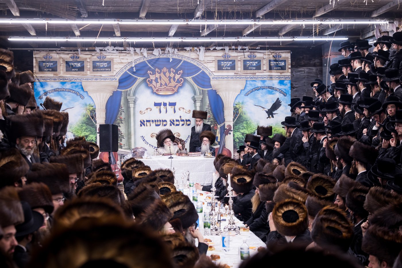 ירח האיתנים בחצר הקודש צאנז קלויזנבורג | צילום: אחים לאנטשעווסקי