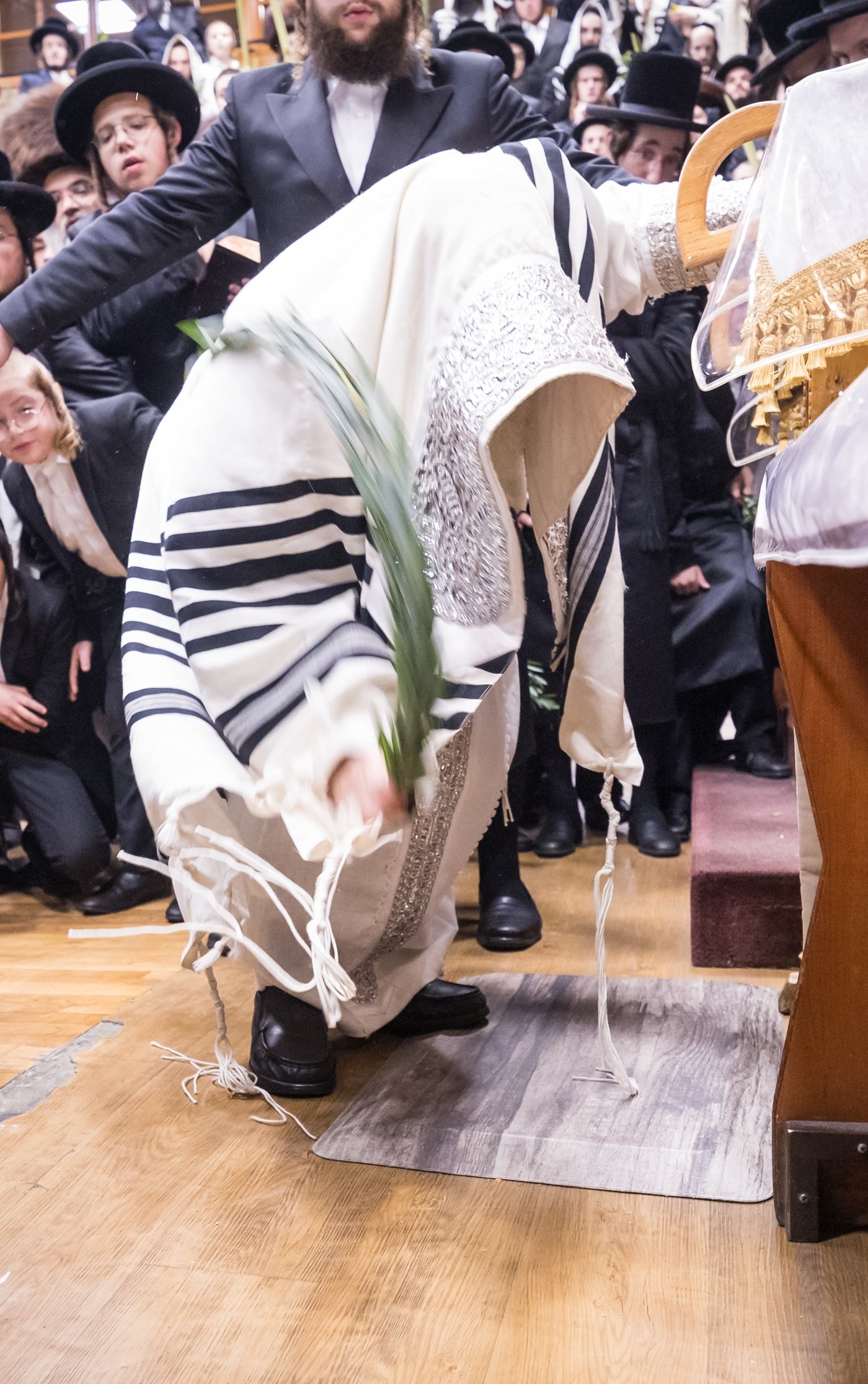 ירח האיתנים בחצר הקודש צאנז קלויזנבורג | צילום: אחים לאנטשעווסקי