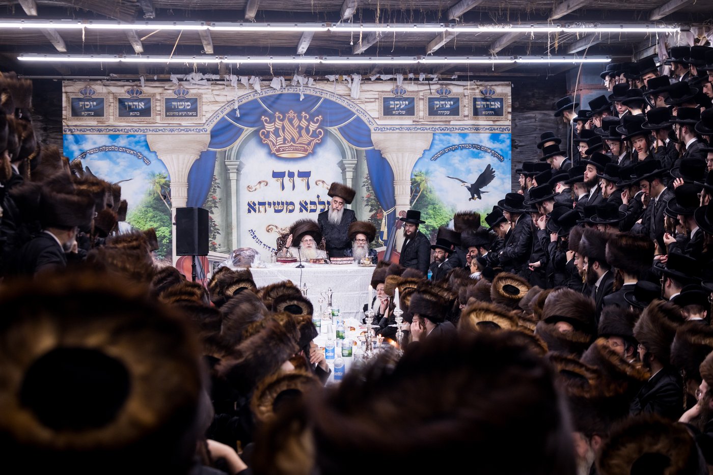 ירח האיתנים בחצר הקודש צאנז קלויזנבורג | צילום: אחים לאנטשעווסקי