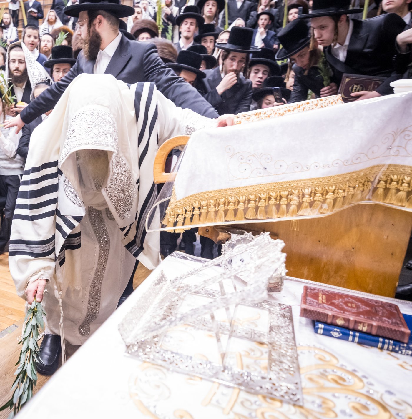 ירח האיתנים בחצר הקודש צאנז קלויזנבורג | צילום: אחים לאנטשעווסקי