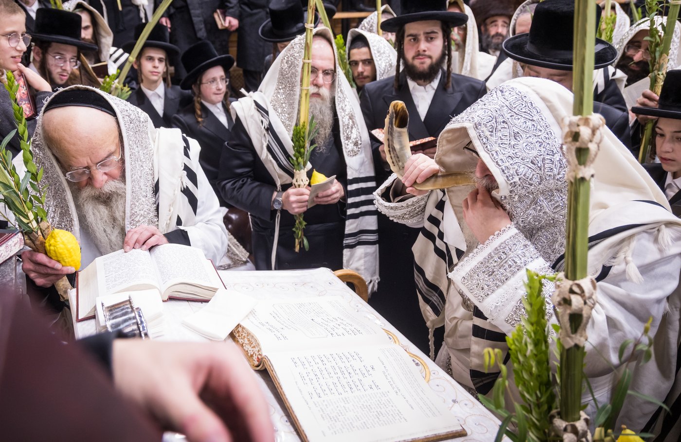 ירח האיתנים בחצר הקודש צאנז קלויזנבורג | צילום: אחים לאנטשעווסקי