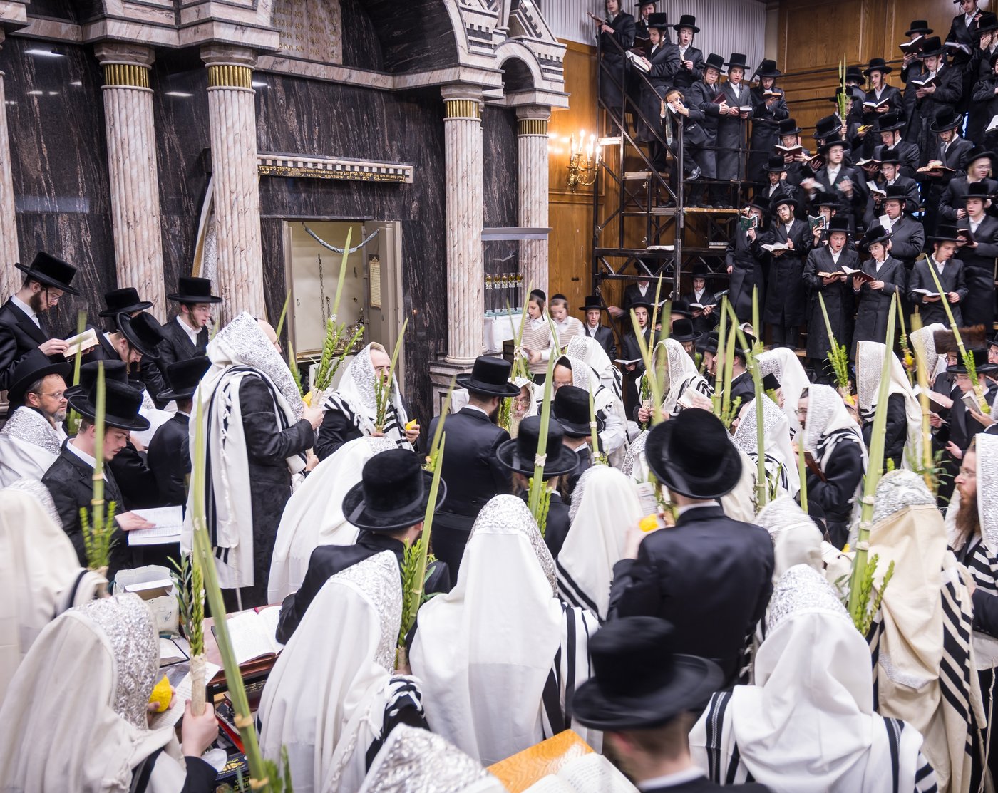 ירח האיתנים בחצר הקודש צאנז קלויזנבורג | צילום: אחים לאנטשעווסקי