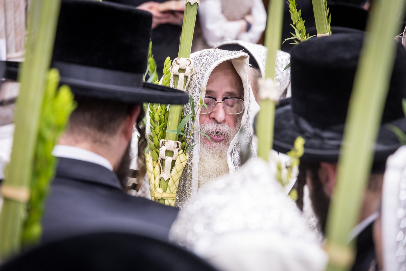 ירח האיתנים בחצר הקודש צאנז קלויזנבורג | צילום: אחים לאנטשעווסקי