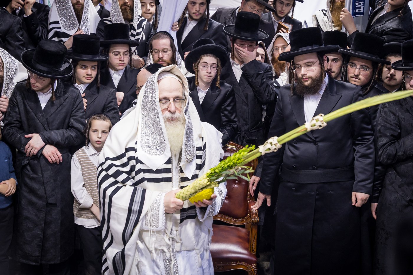 ירח האיתנים בחצר הקודש צאנז קלויזנבורג | צילום: אחים לאנטשעווסקי