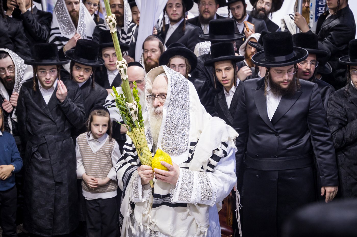 ירח האיתנים בחצר הקודש צאנז קלויזנבורג | צילום: אחים לאנטשעווסקי