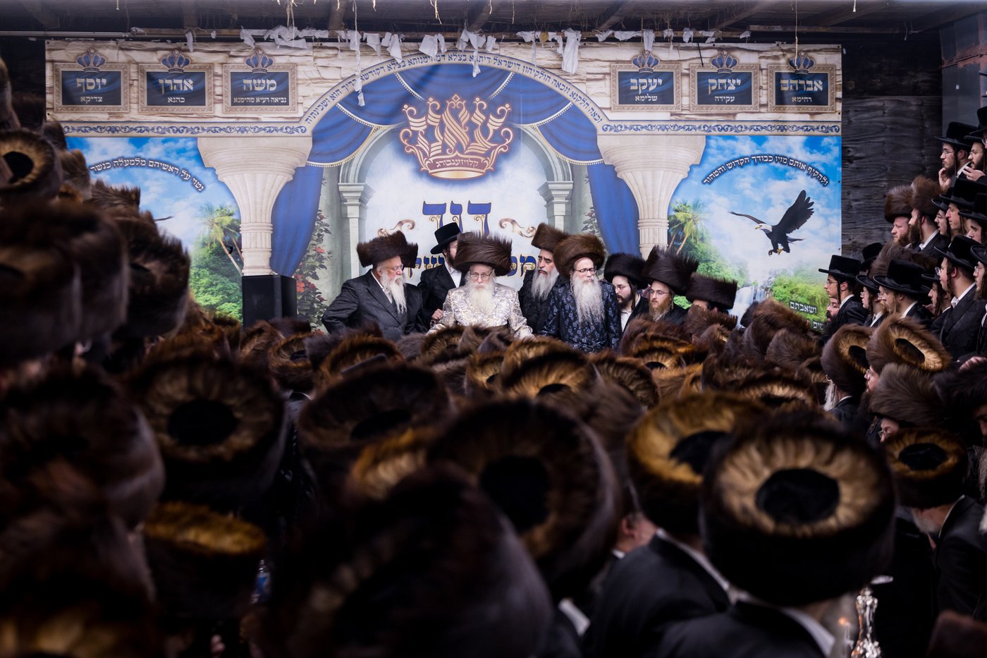 ירח האיתנים בחצר הקודש צאנז קלויזנבורג | צילום: אחים לאנטשעווסקי