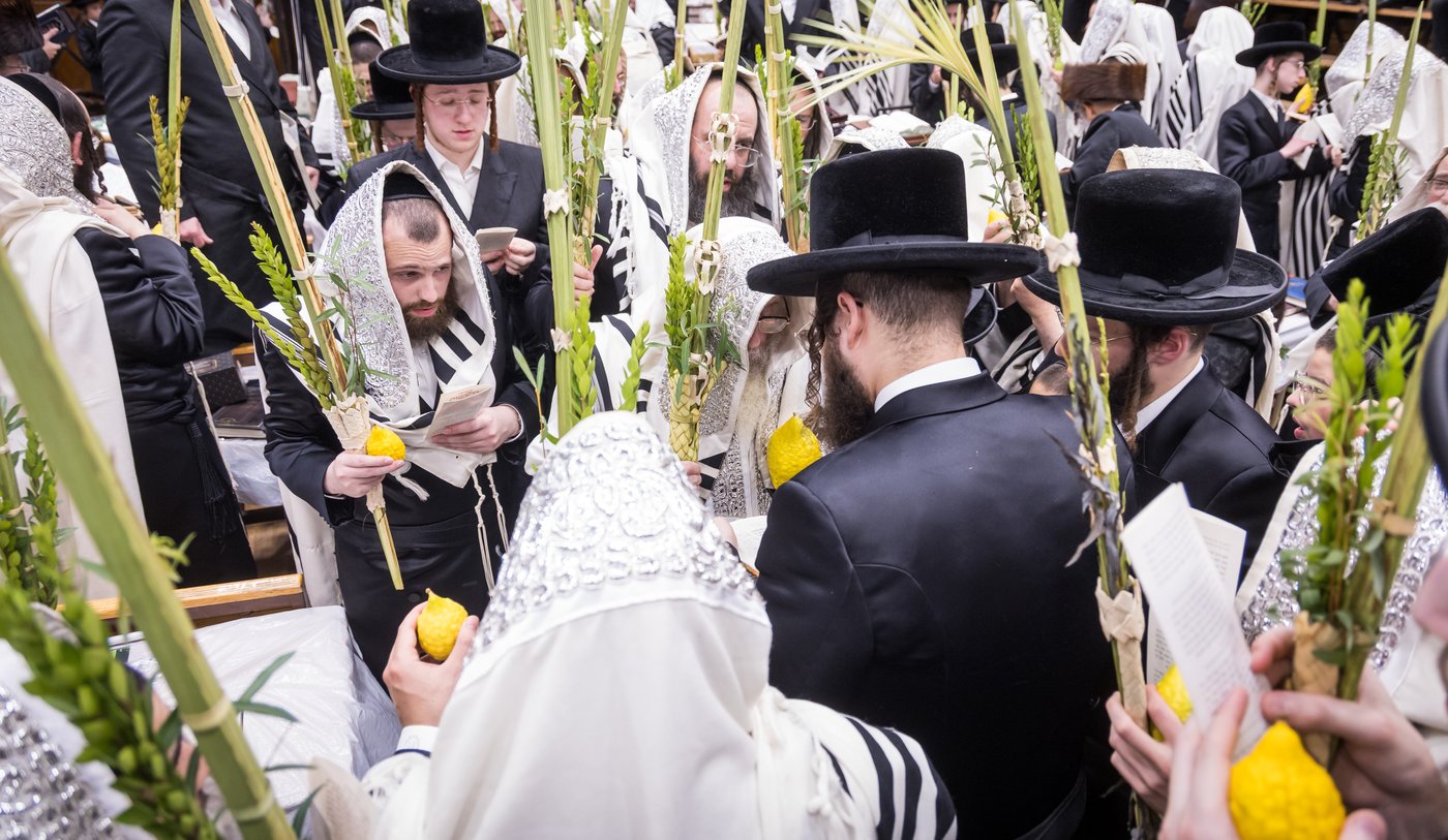 ירח האיתנים בחצר הקודש צאנז קלויזנבורג | צילום: אחים לאנטשעווסקי