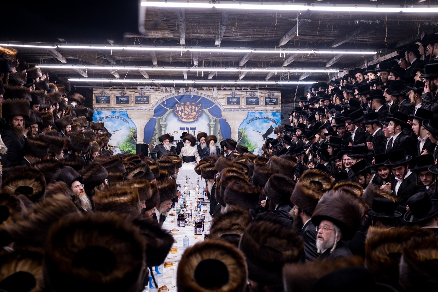 ירח האיתנים בחצר הקודש צאנז קלויזנבורג | צילום: אחים לאנטשעווסקי
