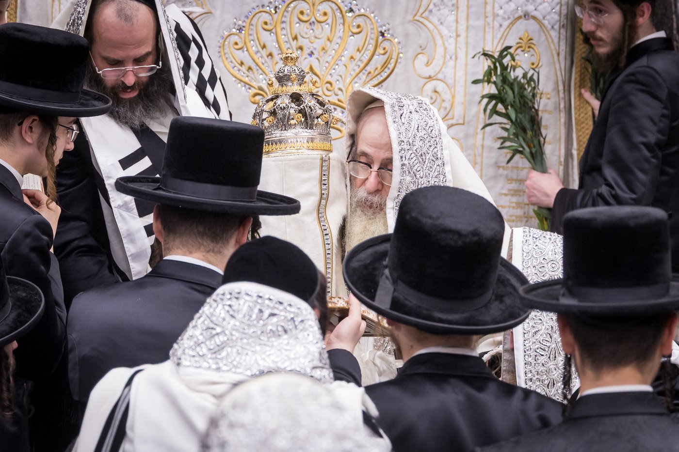 ירח האיתנים בחצר הקודש צאנז קלויזנבורג | צילום: אחים לאנטשעווסקי