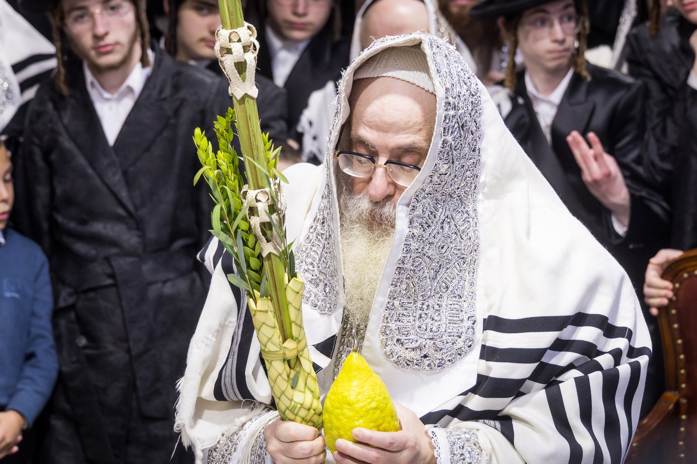 ירח האיתנים בחצר הקודש צאנז קלויזנבורג | צילום: אחים לאנטשעווסקי