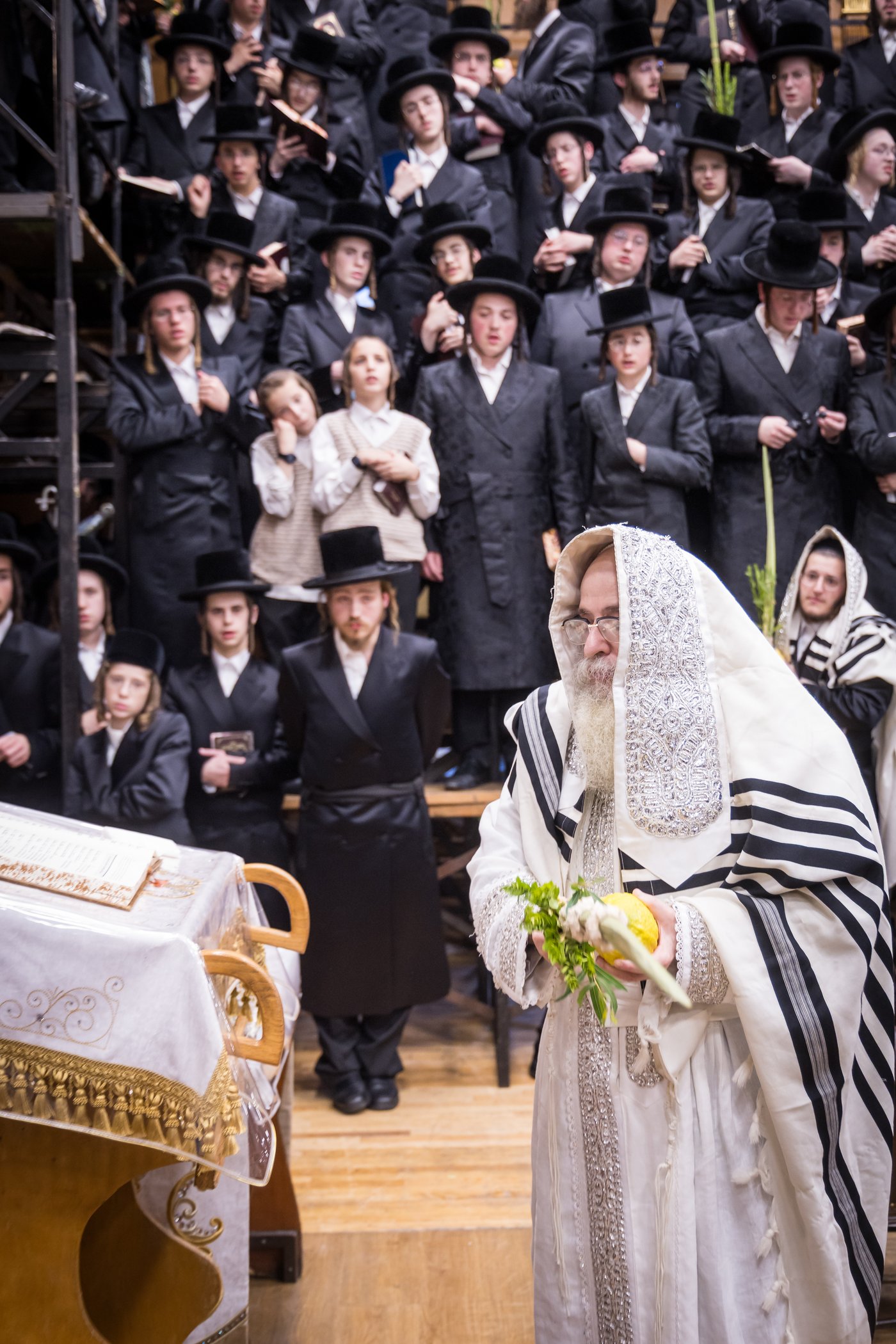 ירח האיתנים בחצר הקודש צאנז קלויזנבורג | צילום: אחים לאנטשעווסקי