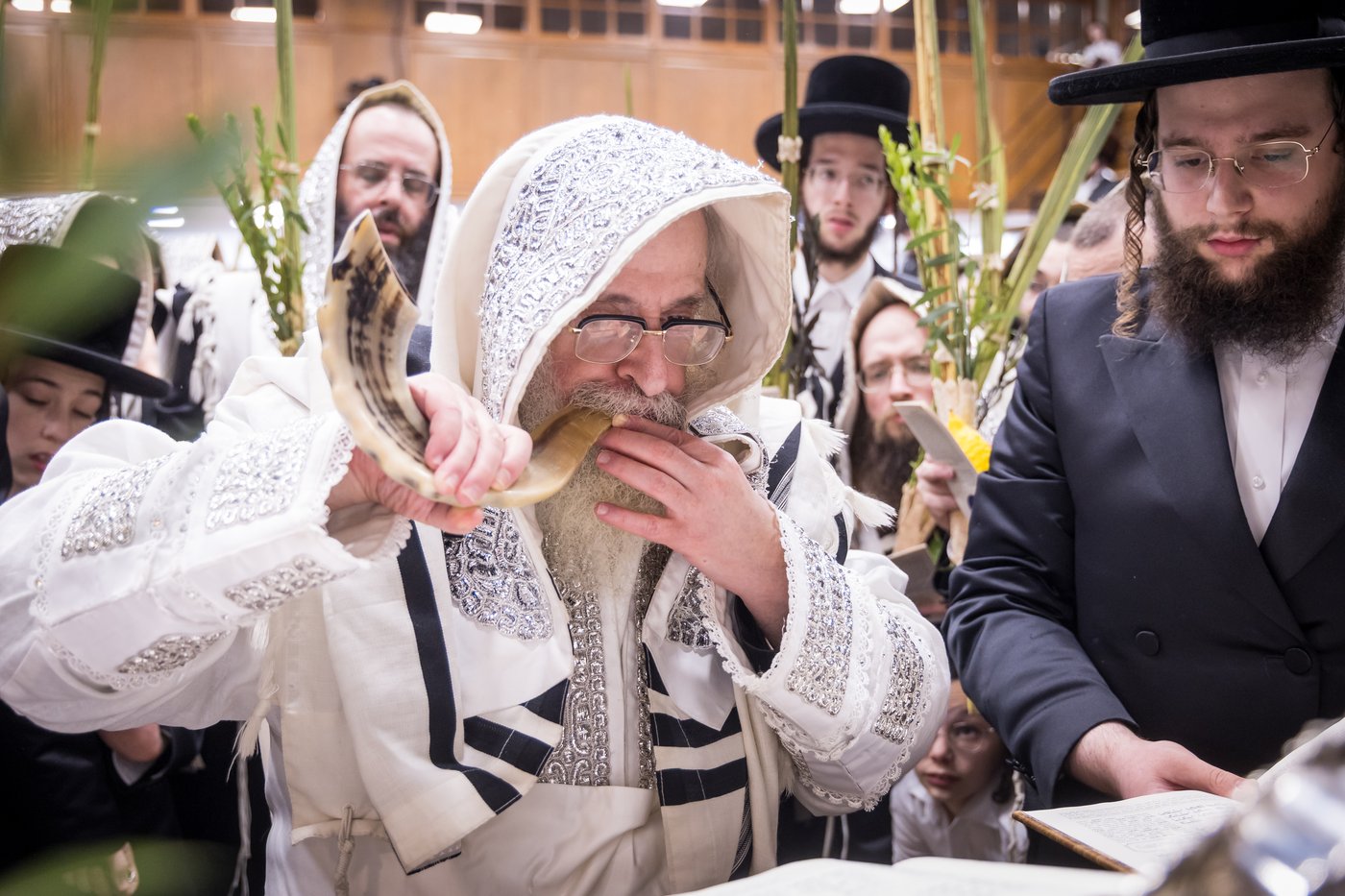 ירח האיתנים בחצר הקודש צאנז קלויזנבורג | צילום: אחים לאנטשעווסקי