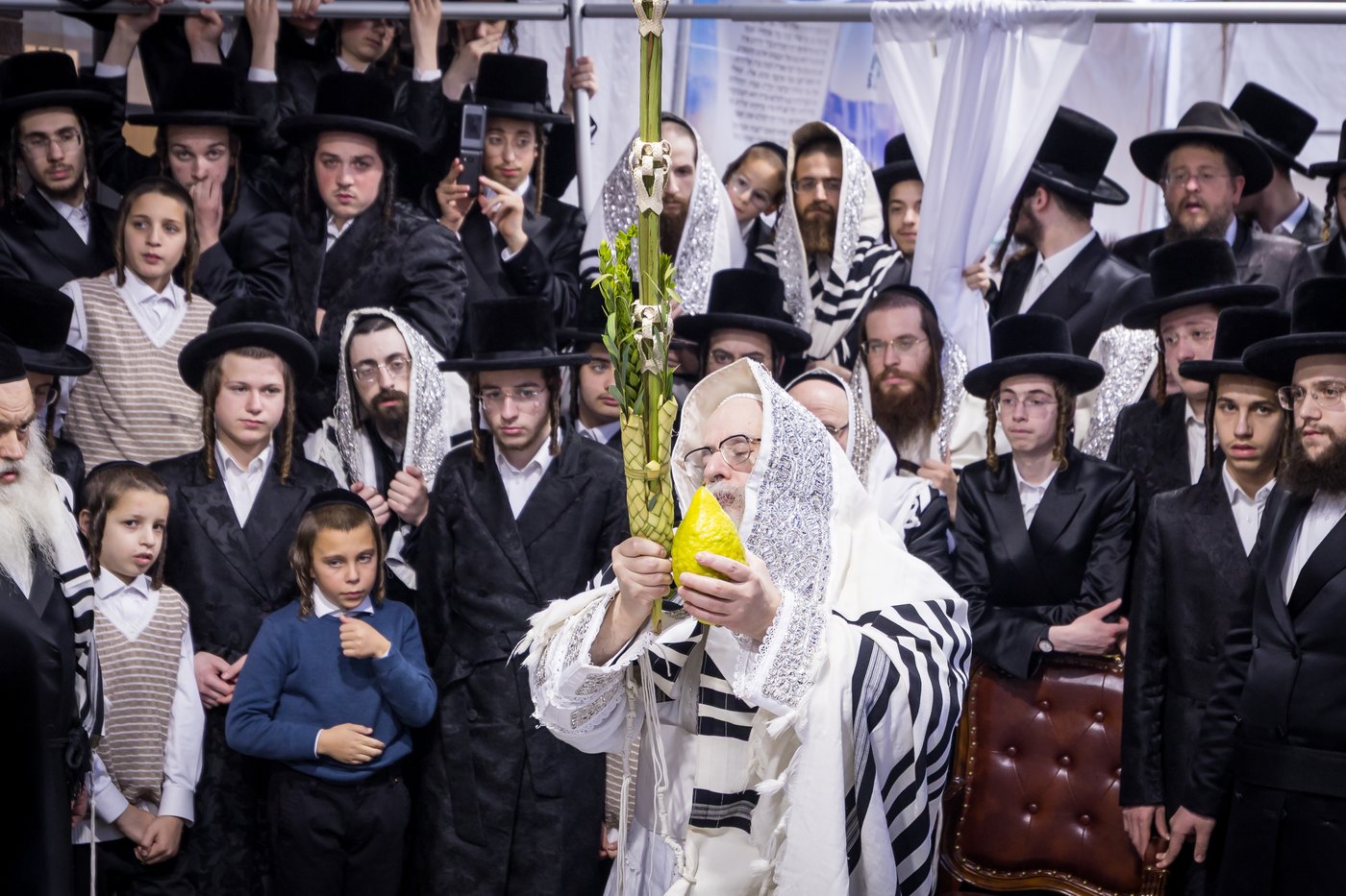 ירח האיתנים בחצר הקודש צאנז קלויזנבורג | צילום: אחים לאנטשעווסקי