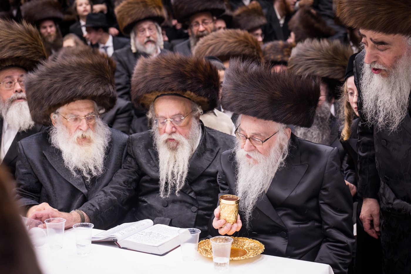 ירח האיתנים בחצר הקודש צאנז קלויזנבורג | צילום: אחים לאנטשעווסקי