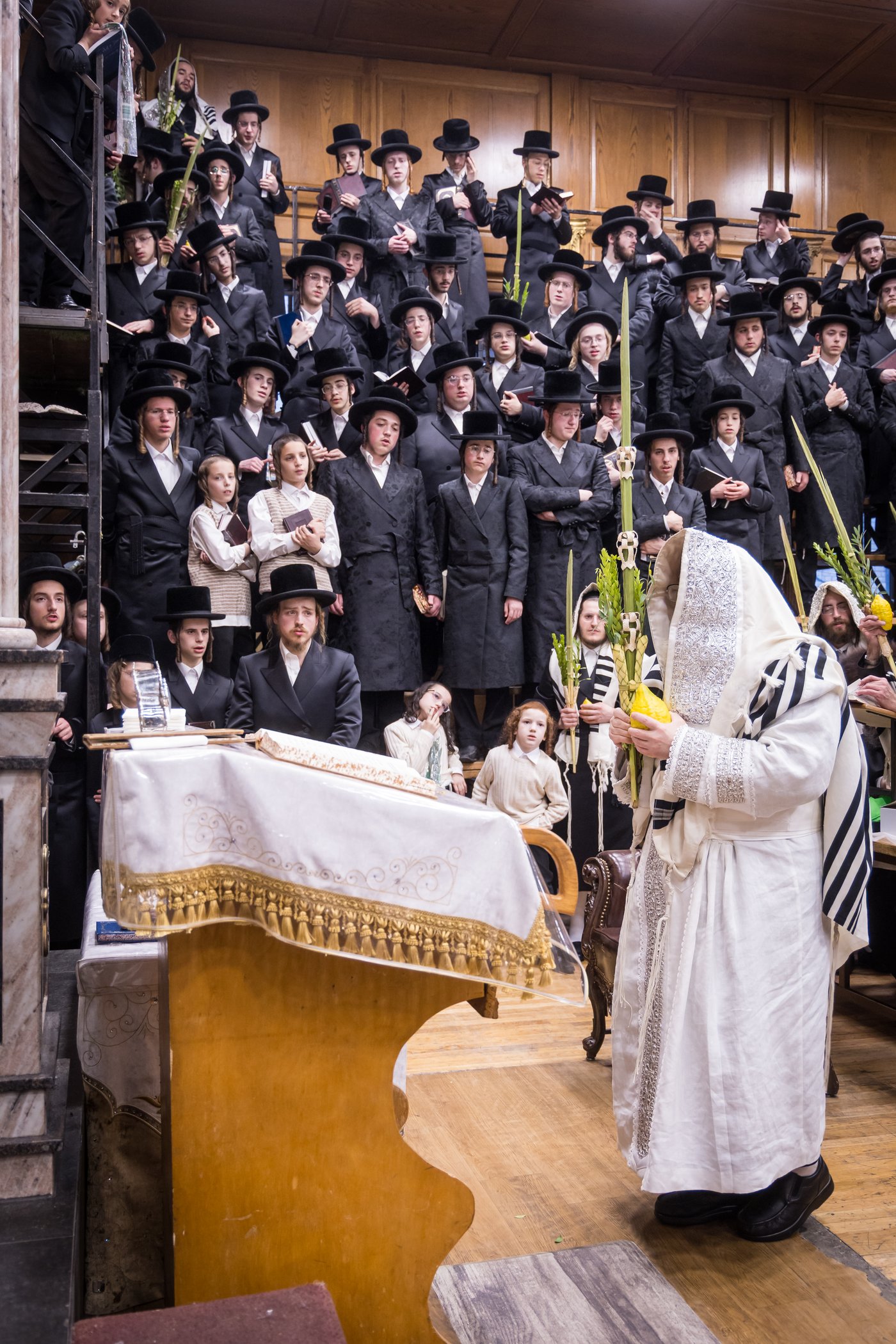 ירח האיתנים בחצר הקודש צאנז קלויזנבורג | צילום: אחים לאנטשעווסקי