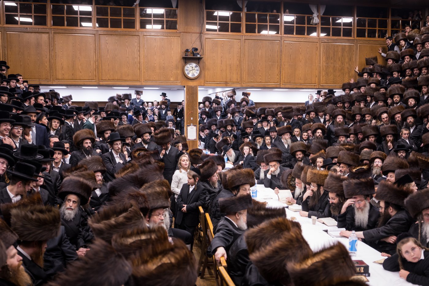 ירח האיתנים בחצר הקודש צאנז קלויזנבורג | צילום: אחים לאנטשעווסקי