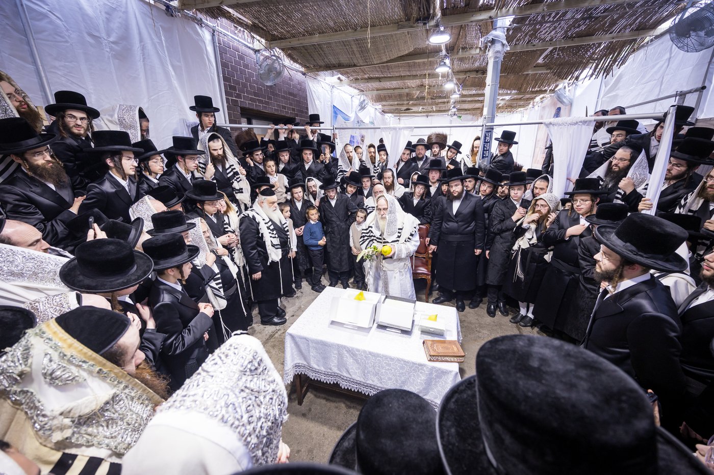 ירח האיתנים בחצר הקודש צאנז קלויזנבורג | צילום: אחים לאנטשעווסקי