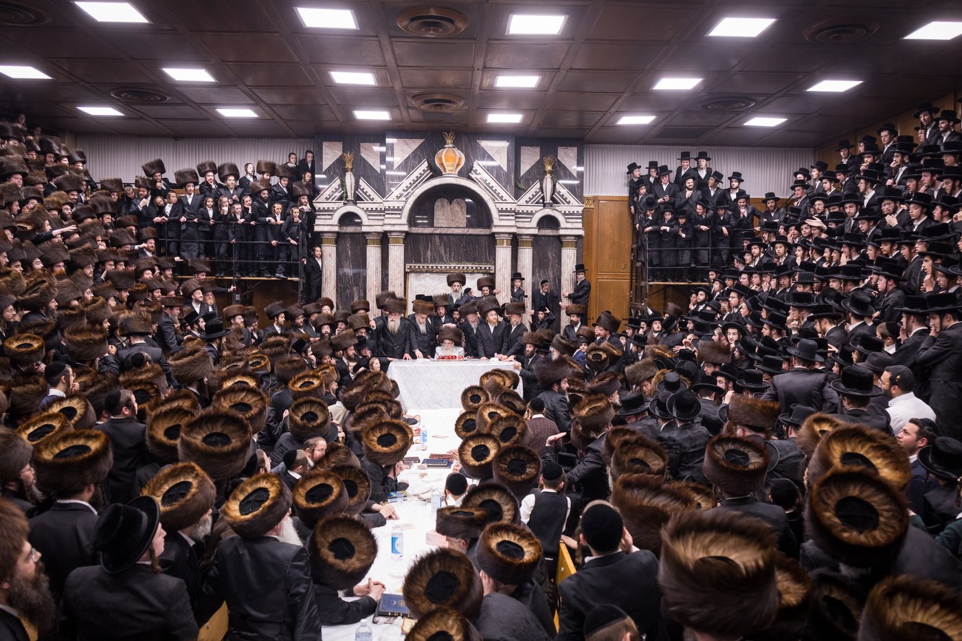 ירח האיתנים בחצר הקודש צאנז קלויזנבורג | צילום: אחים לאנטשעווסקי