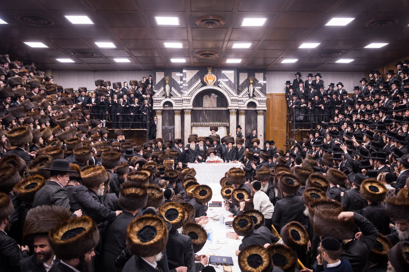 ירח האיתנים בחצר הקודש צאנז קלויזנבורג | צילום: אחים לאנטשעווסקי