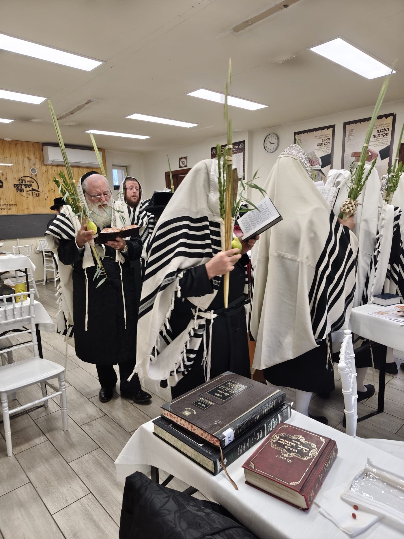 ירח האיתנים בקרעסטיר | צילום: באדיבות המצלם
