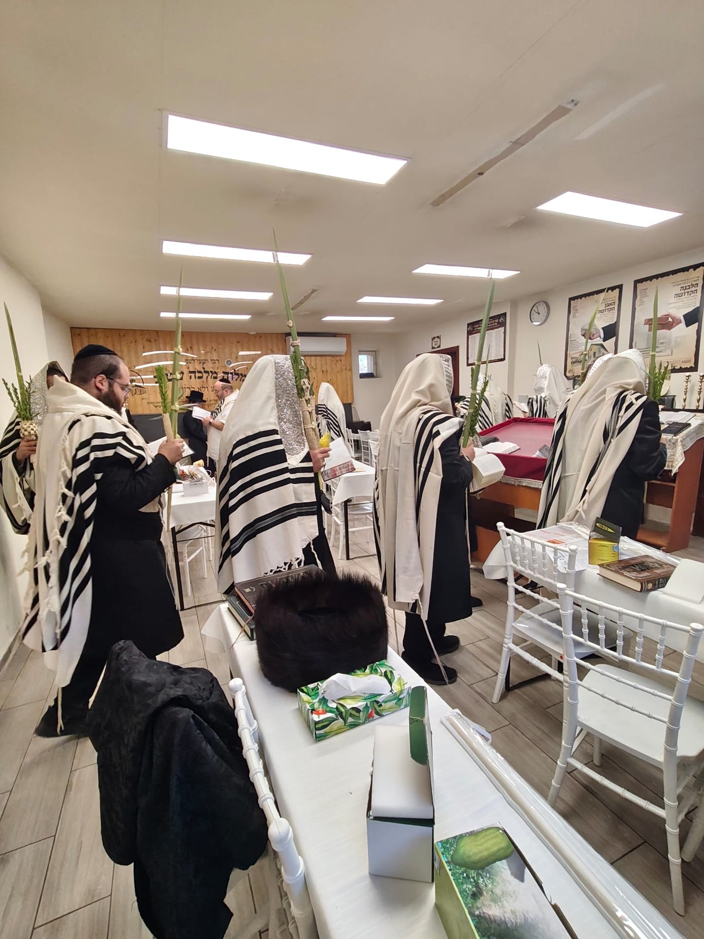 ירח האיתנים בקרעסטיר | צילום: באדיבות המצלם