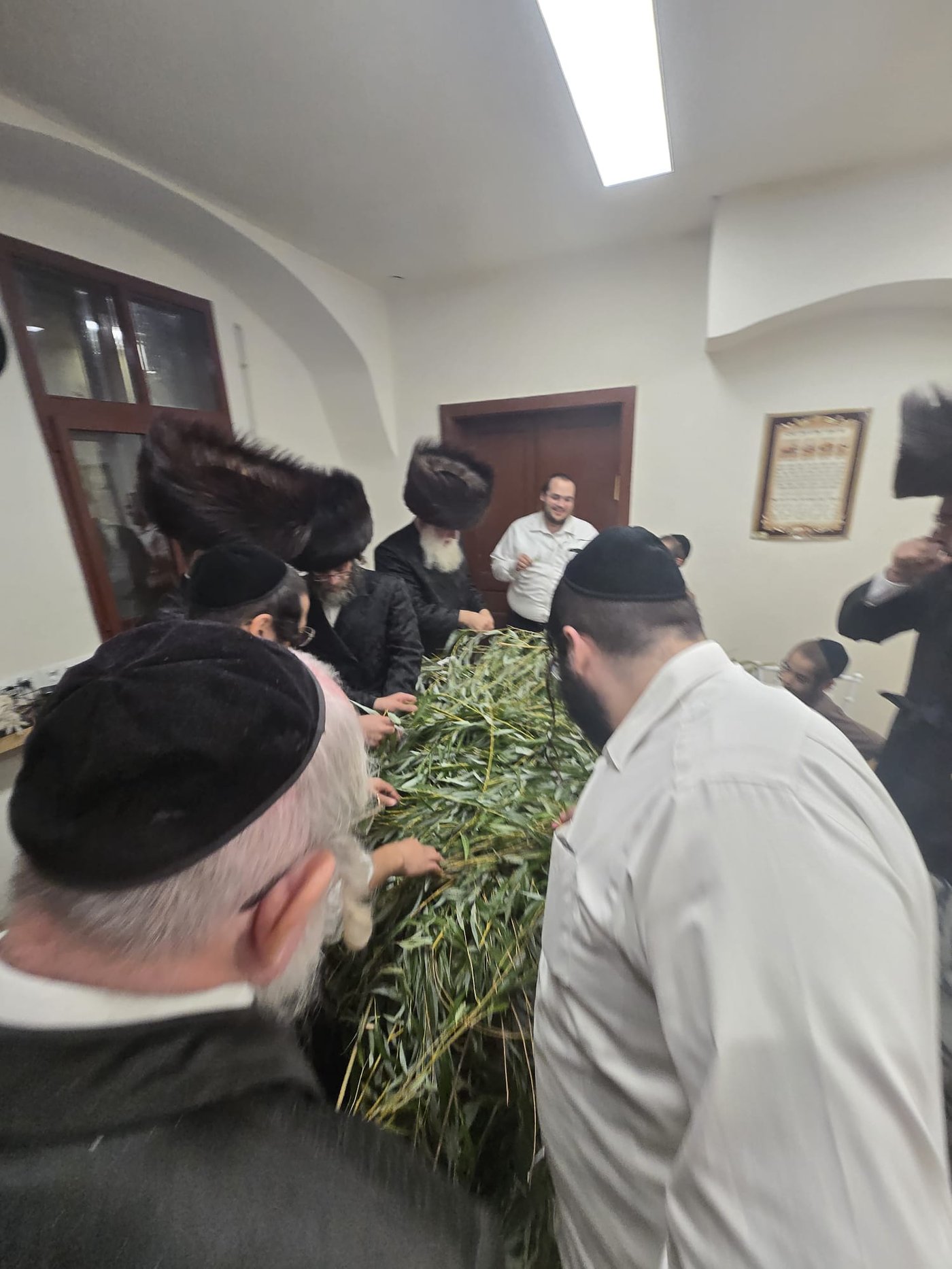 ירח האיתנים בקרעסטיר | צילום: באדיבות המצלם