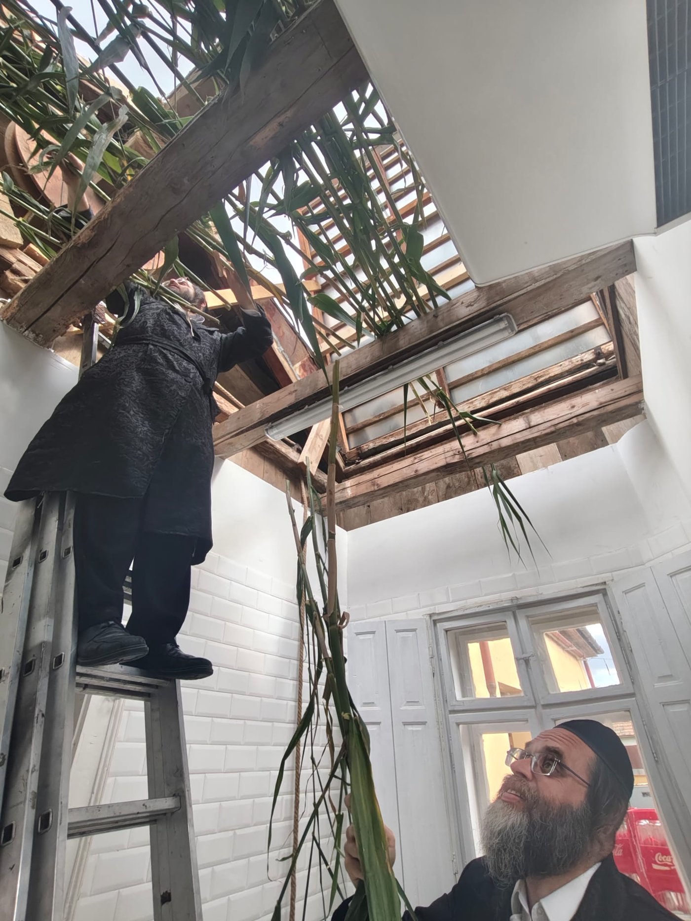 ירח האיתנים בקרעסטיר | צילום: באדיבות המצלם