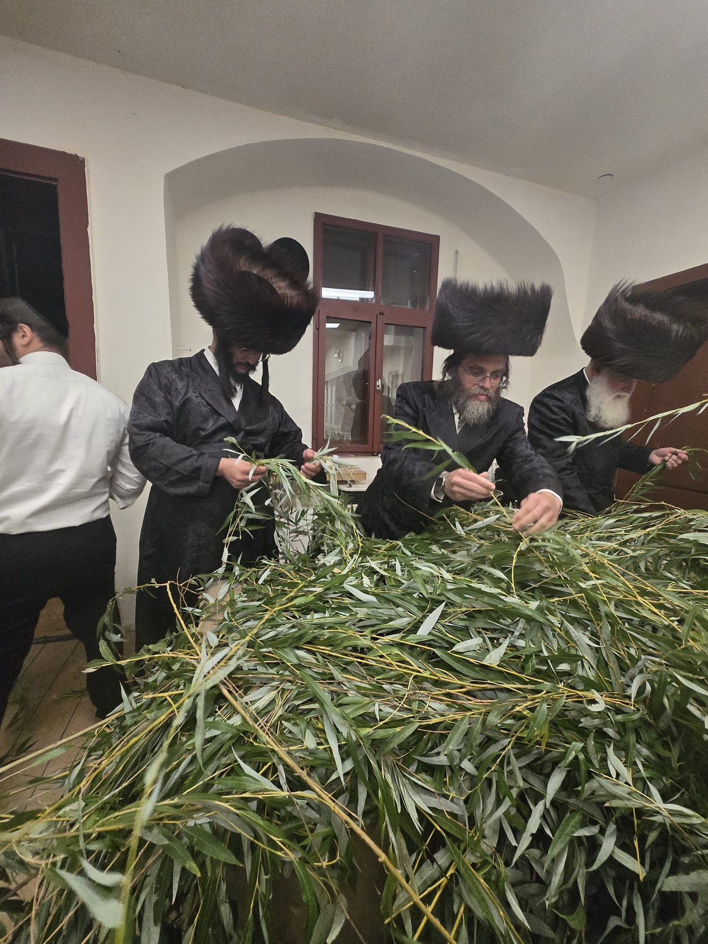 ירח האיתנים בקרעסטיר | צילום: באדיבות המצלם