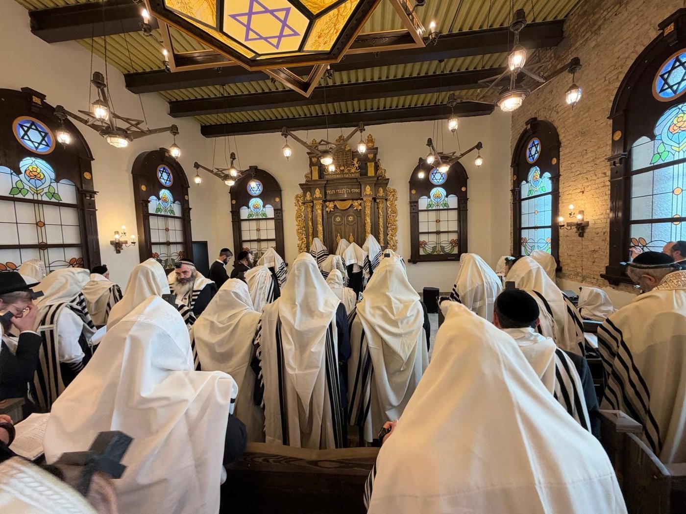 ראדין | צילום: באדיבות המצלם