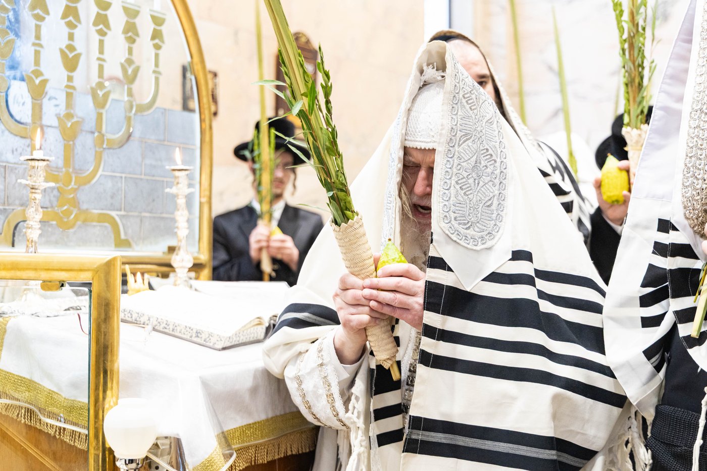 הושענא רבה בחצר הקודש מונקאטש | צילום: אחים לאנטשעווסקי - הלל ל"ש