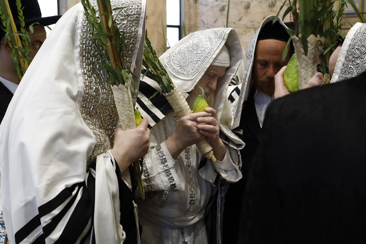 הושענא רבה בחצר הקודש מונקאטש | צילום: אחים לאנטשעווסקי - הלל ל"ש