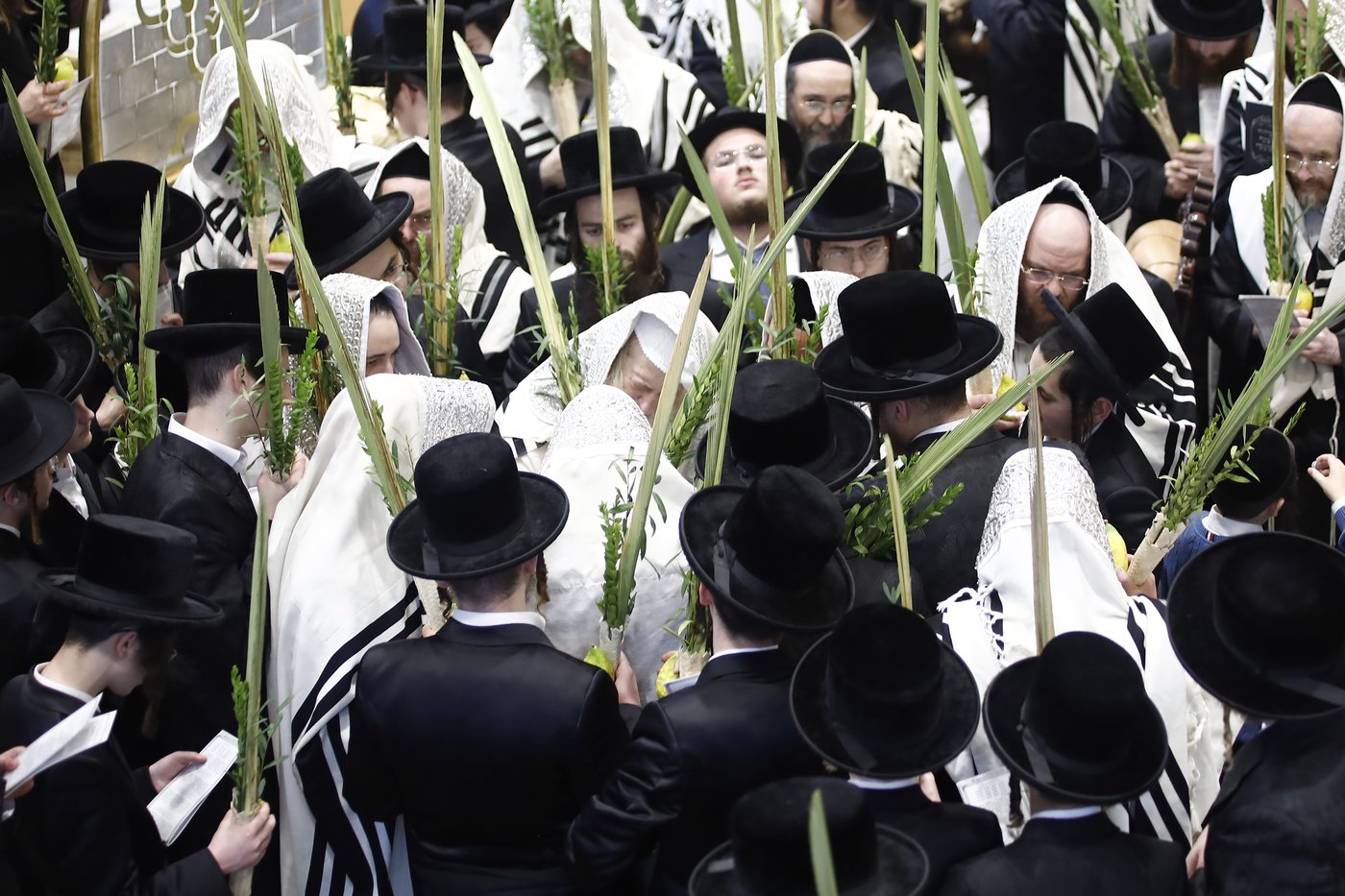 הושענא רבה בחצר הקודש מונקאטש | צילום: אחים לאנטשעווסקי - הלל ל"ש