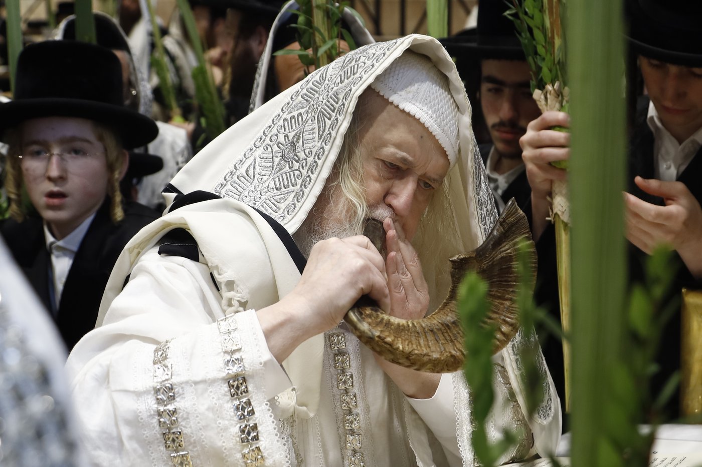 הושענא רבה בחצר הקודש מונקאטש | צילום: אחים לאנטשעווסקי - הלל ל"ש