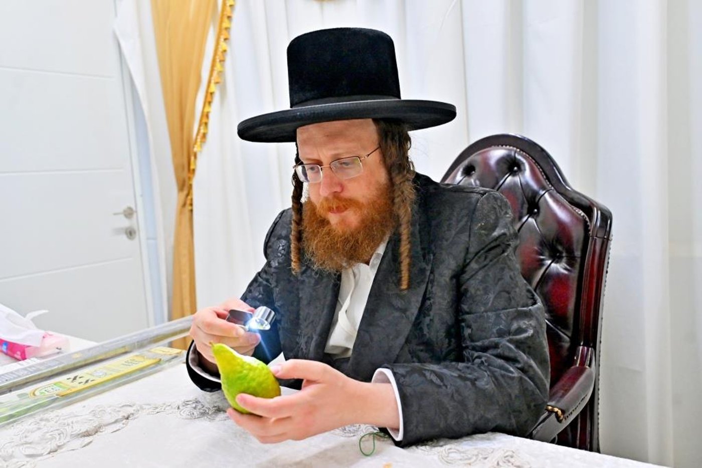 חג הסוכות בחצר הקודש ספינקא בית שמש