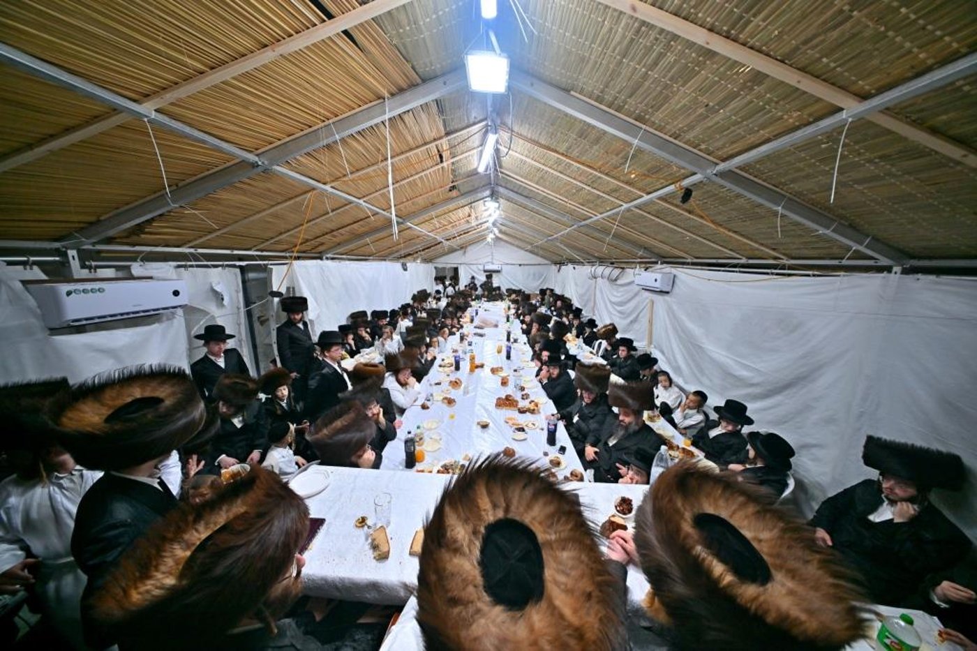 חג הסוכות בחצר הקודש ספינקא בית שמש