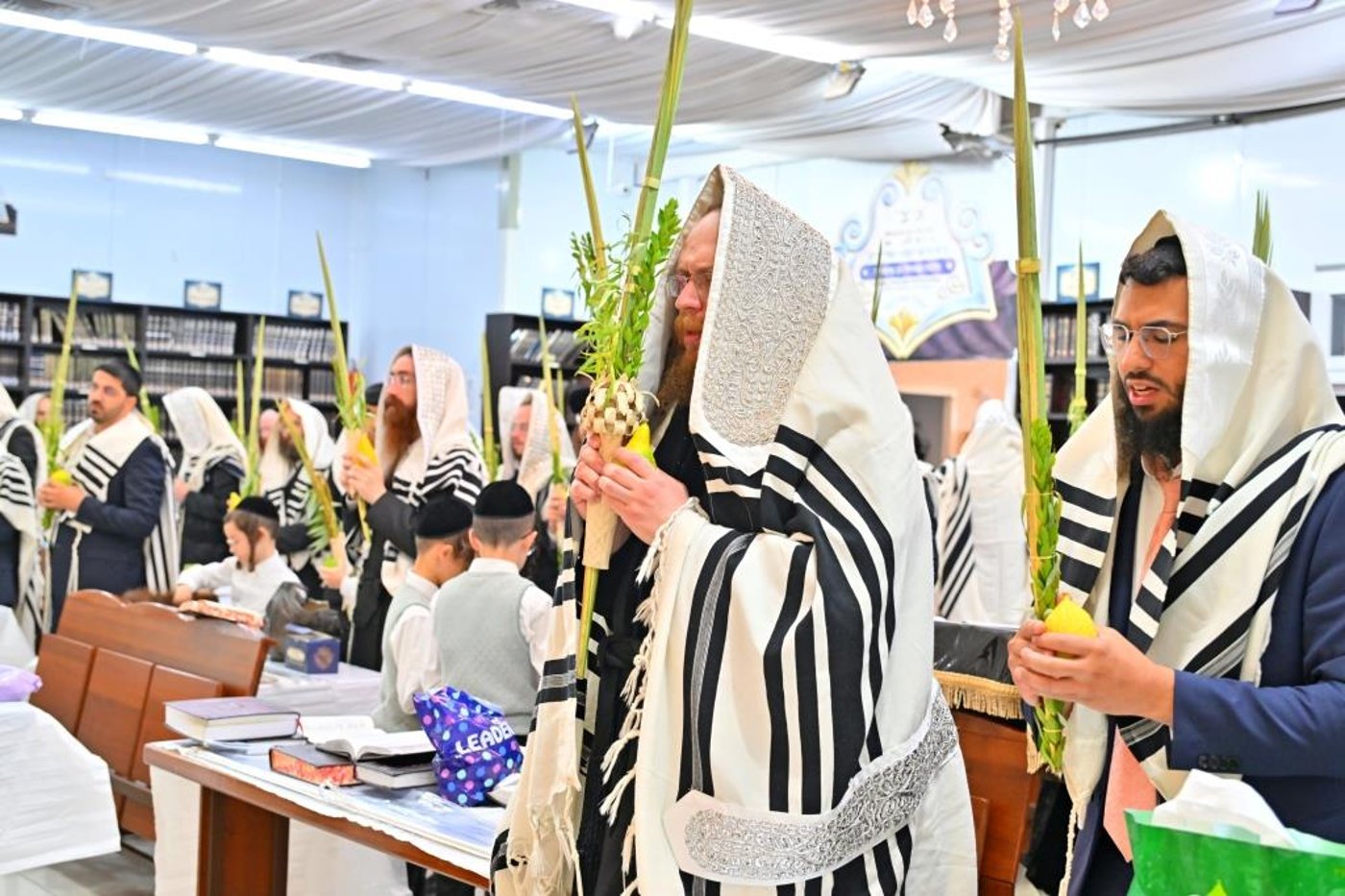 חג הסוכות בחצר הקודש ספינקא בית שמש