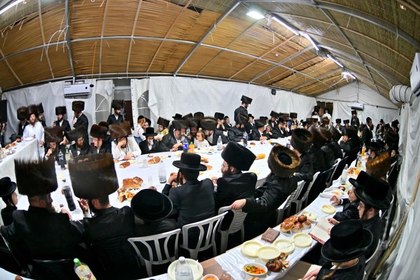 חג הסוכות בחצר הקודש ספינקא בית שמש