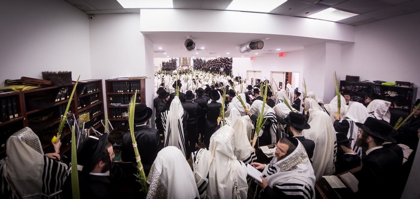 ירח האיתנים בחצר הקודש באבוב 45