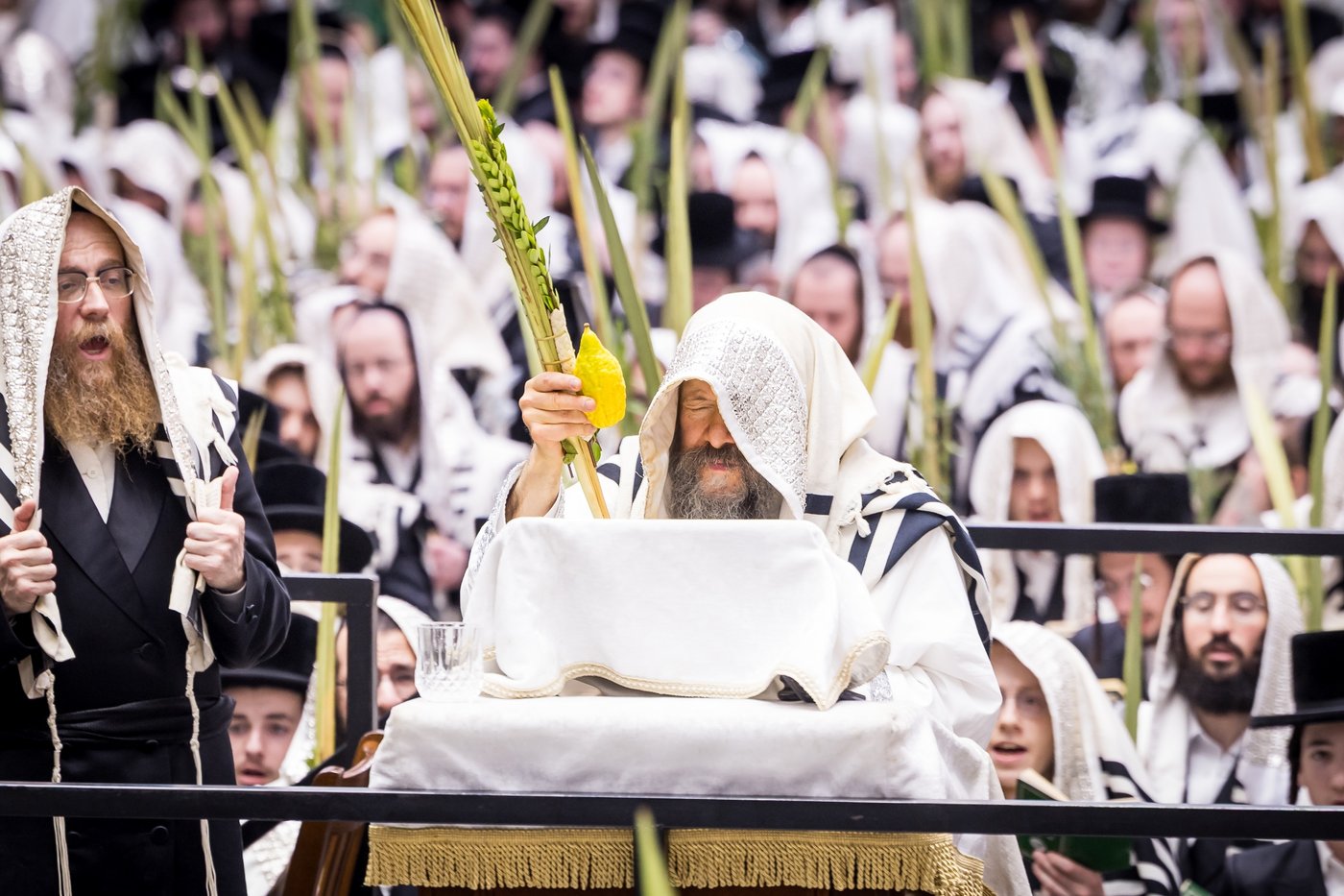 ירח האיתנים בחצר הקודש באבוב 45