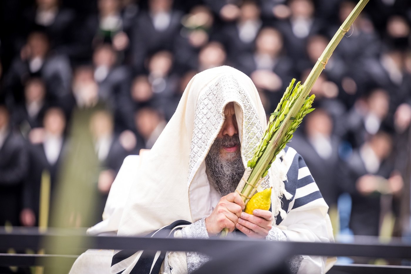 ירח האיתנים בחצר הקודש באבוב 45