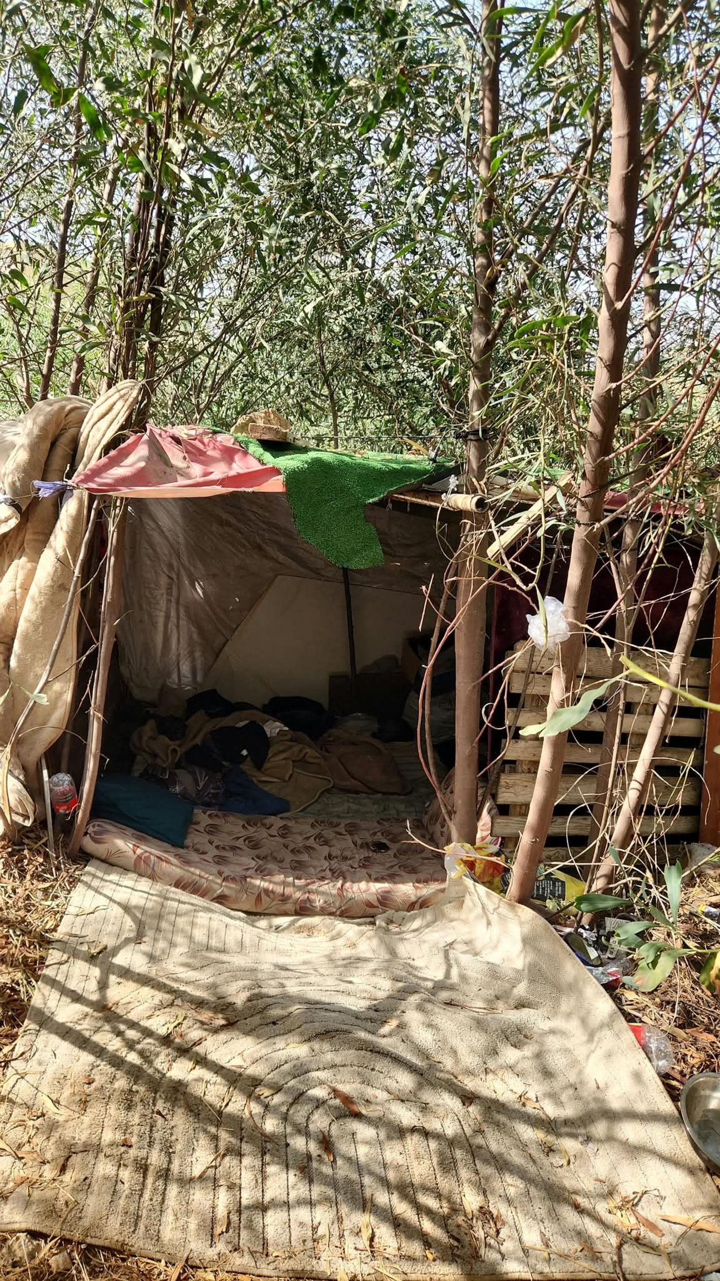 מבצע ענק בצפון: 40 שב"חים נתפסו בצמתים ובמבנים נטושים