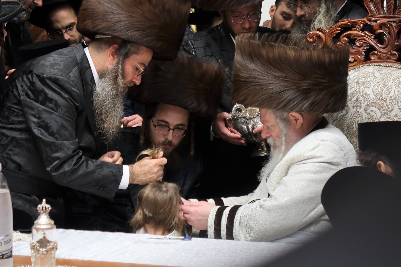 שמחת החלאקה לנכד האדמו"ר מפרמישלאן שליט"א | צילום: י. פריד