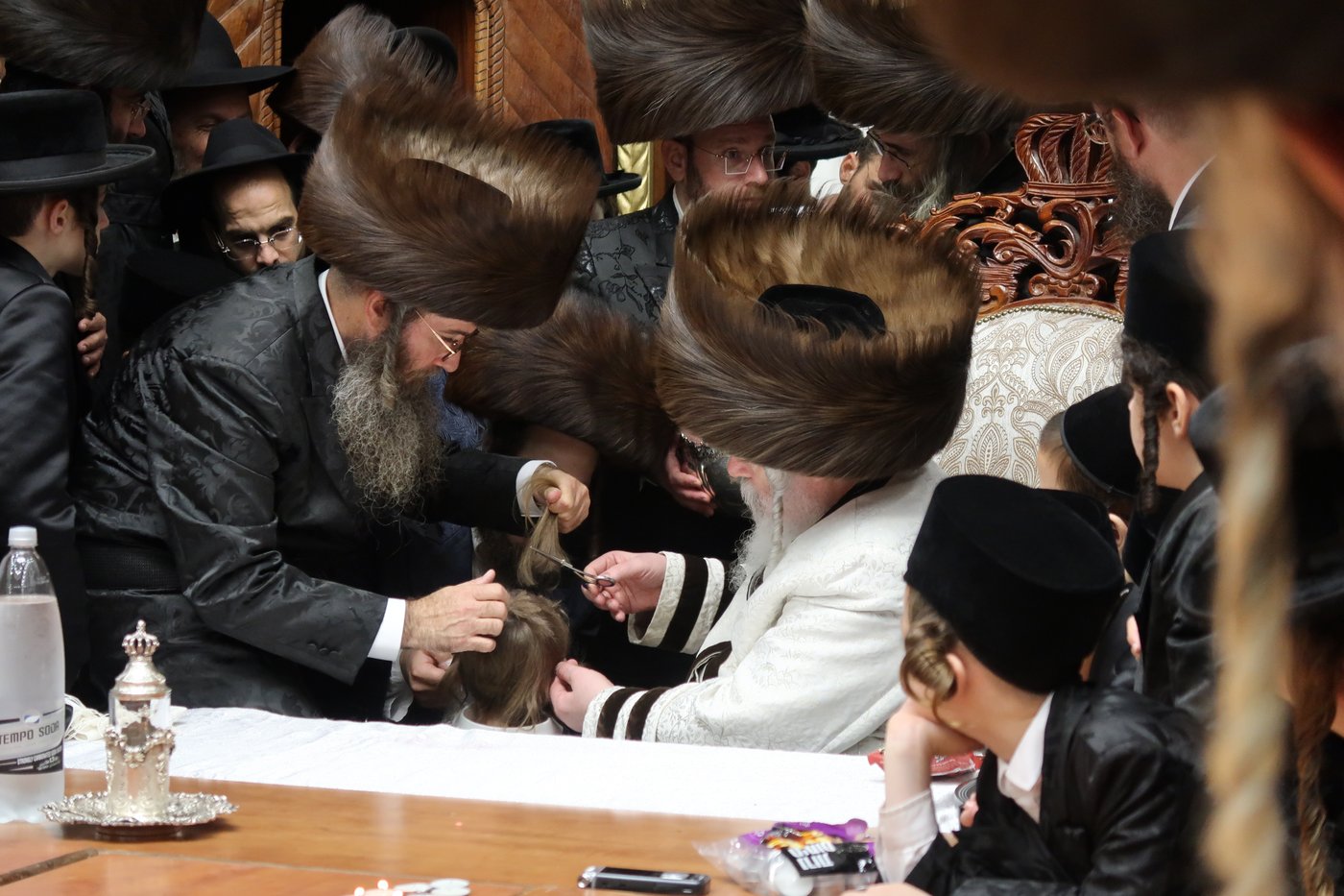 שמחת החלאקה לנכד האדמו"ר מפרמישלאן שליט"א | צילום: י. פריד