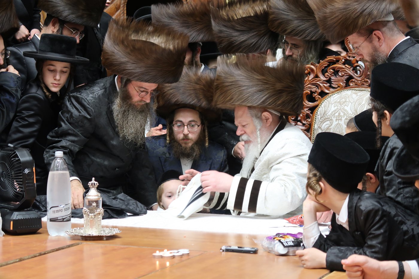 שמחת החלאקה לנכד האדמו"ר מפרמישלאן שליט"א | צילום: י. פריד