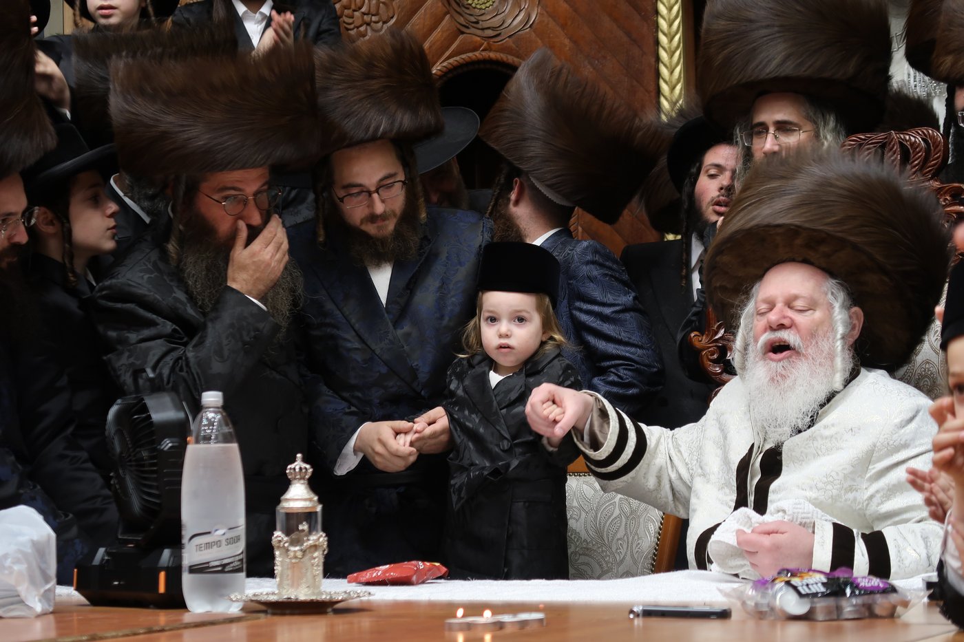 שמחת החלאקה לנכד האדמו"ר מפרמישלאן שליט"א | צילום: י. פריד