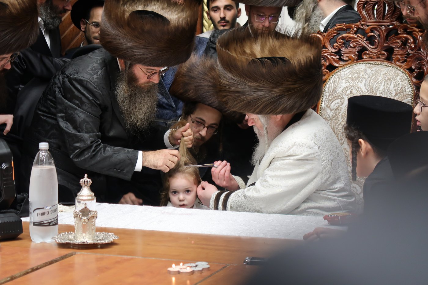 שמחת החלאקה לנכד האדמו"ר מפרמישלאן שליט"א | צילום: י. פריד