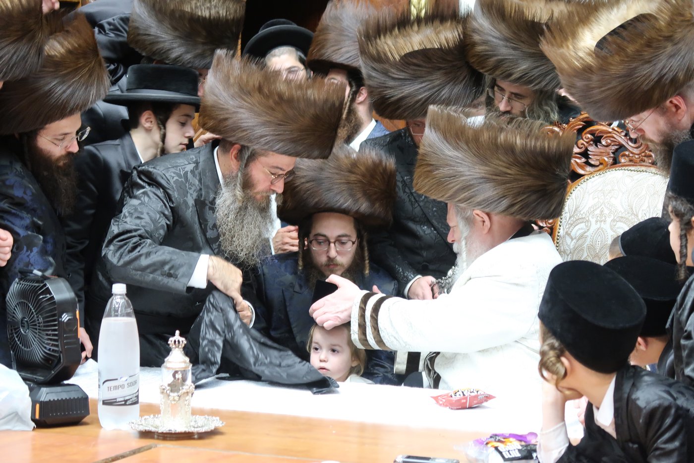 שמחת החלאקה לנכד האדמו"ר מפרמישלאן שליט"א | צילום: י. פריד