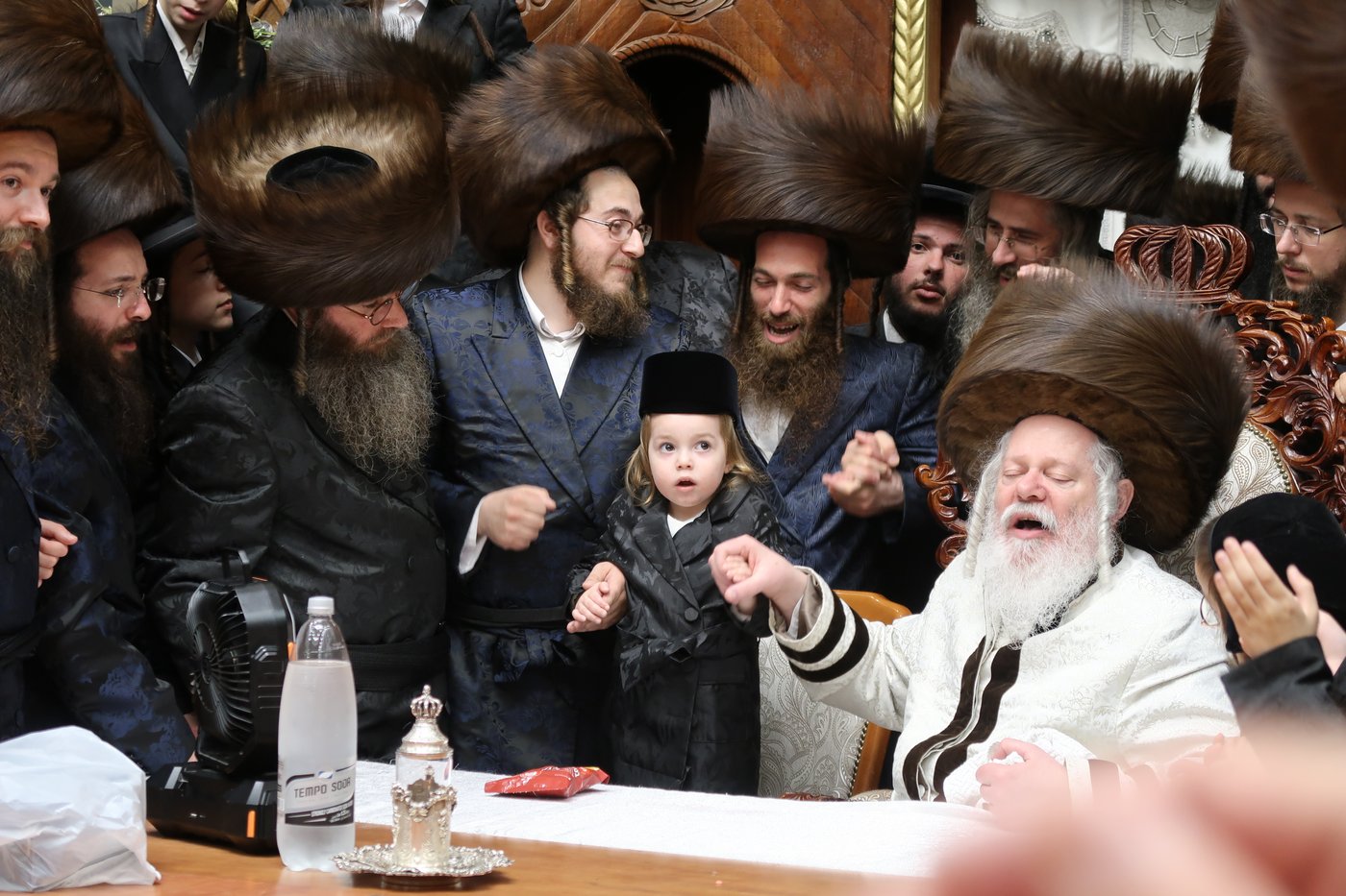 שמחת החלאקה לנכד האדמו"ר מפרמישלאן שליט"א | צילום: י. פריד